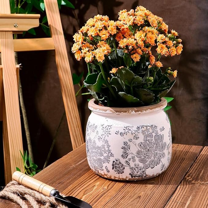 Vaso com Drenagem da Amazon