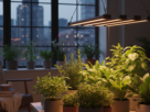 led grow funciona