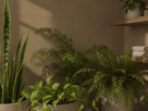 plantas para banheiro sem janela
