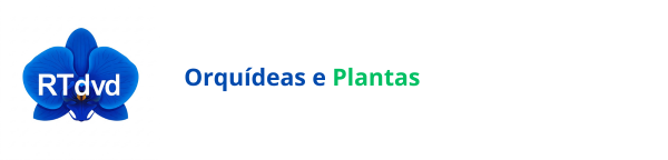 Orquídeas e Plantas